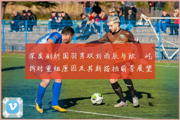 深度剖析国羽男双刘雨辰与欧烜屹拆对重组原因及其新搭档前景展望